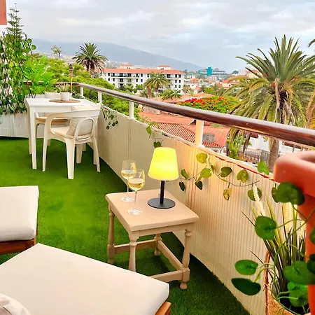 Palm House شقة