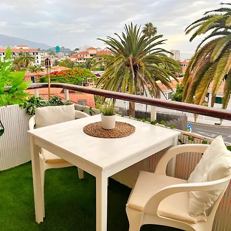 Palm House شقة