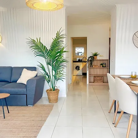 Palm House شقة